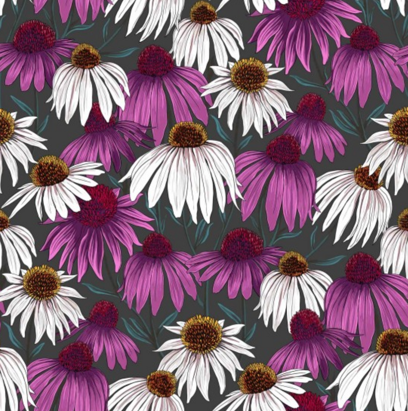 Echinacea Flower Market - 100% Premium Cotton Fabric - Sold Per Half Metre