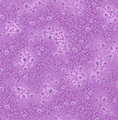 Light Purple Bloom & Blend 100% Premium Cotton Fabric Sold Per 1/2 Metre 112cm Wide
