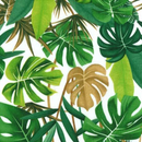 Ivory By The Beach 100% Cotton Poplin Sold Per 1/2 Metre 112cm Wide