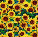 Sunflower Symphony 100% Premium Cotton Fabric | By Chong-A Hwang Timeless Treasures