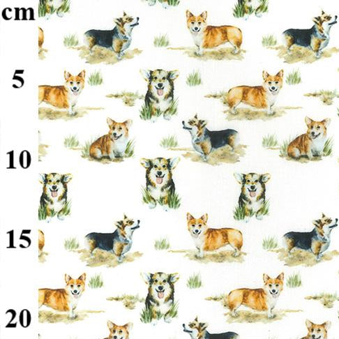 Corgi Dogs design 100% Cotton Fabric, 60 inches wide (150cm) sold per  Half  Metre ~